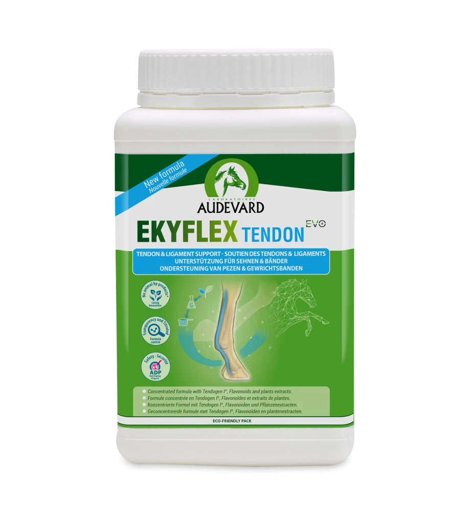 Audevard Ekyflex Tendon EVO