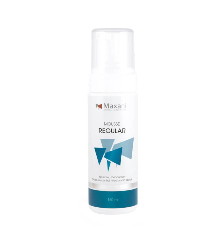Maxani Regular Mousse - 150 Ml