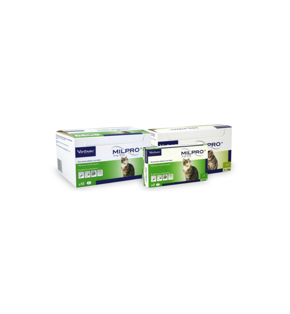 Milpro Grote Kat (+ 2 Kg) - Afbeelding 2