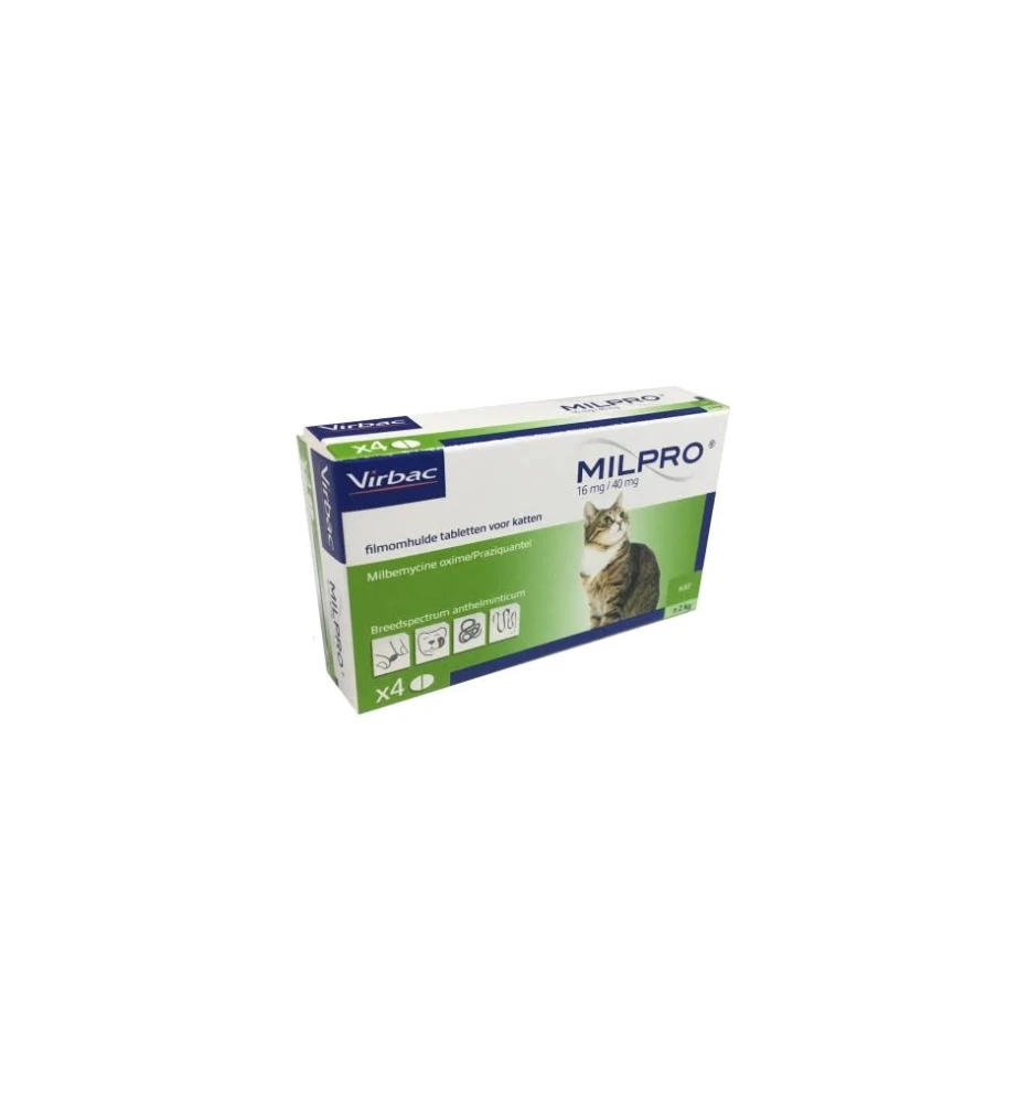 Milpro Grote Kat (+ 2 Kg)