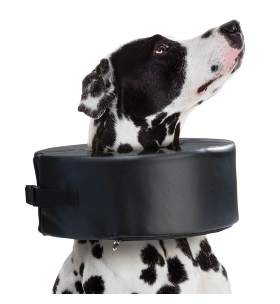 Moon Collar (Schuimkraag) - Afbeelding 2