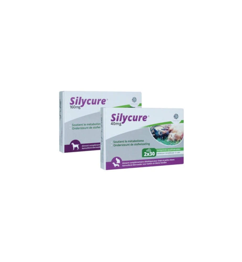 Silycure 40 Mg - 60 Tabletten - Afbeelding 3