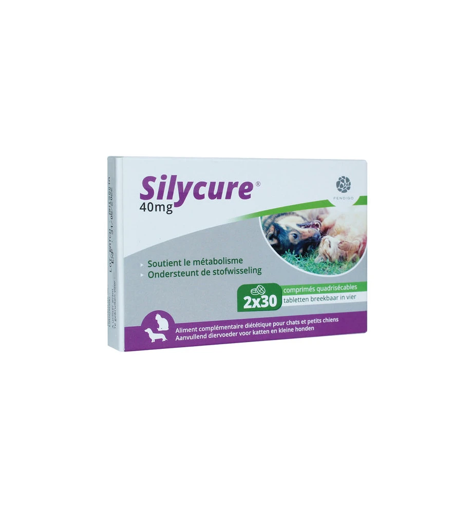 Silycure 40 Mg - 60 Tabletten